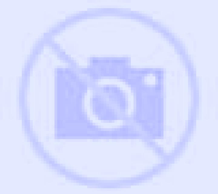 Laia Morille escort