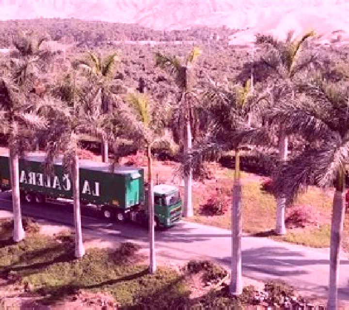 Lola 3 Arganzuela escort