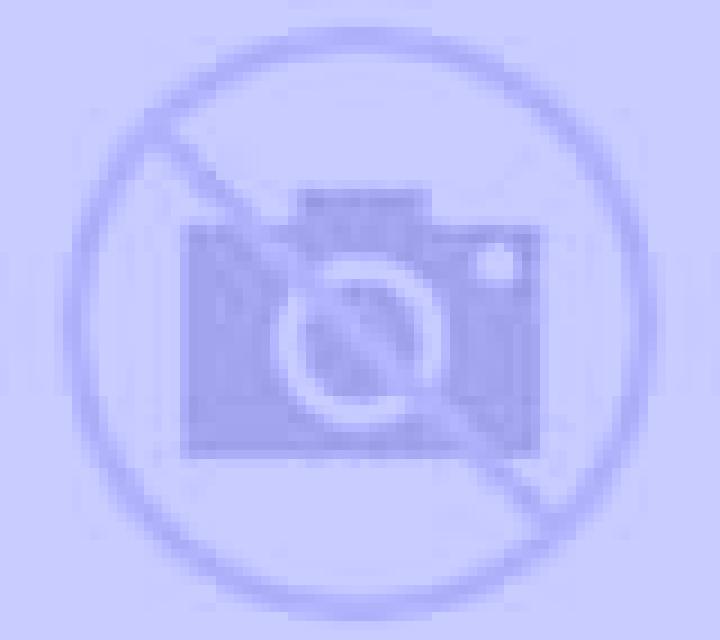 Lorena 3 Cortes de Aragon escort