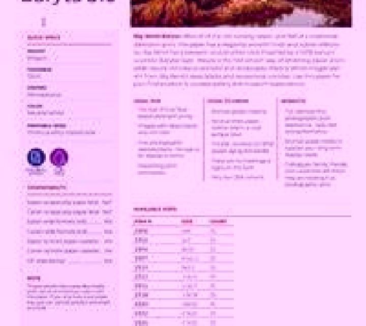 Luna 3 Calasparra escort