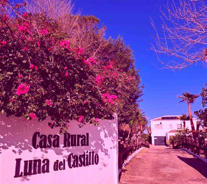 Luna El Coronil escort