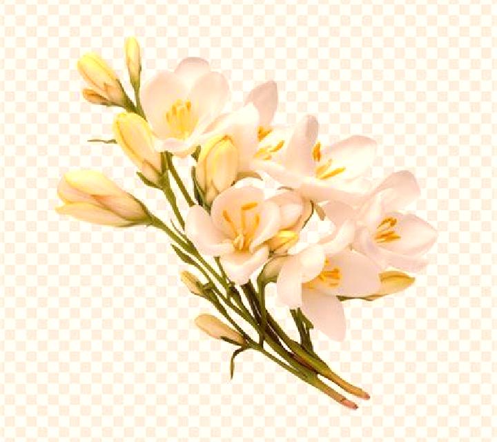 Miriam Irura escort