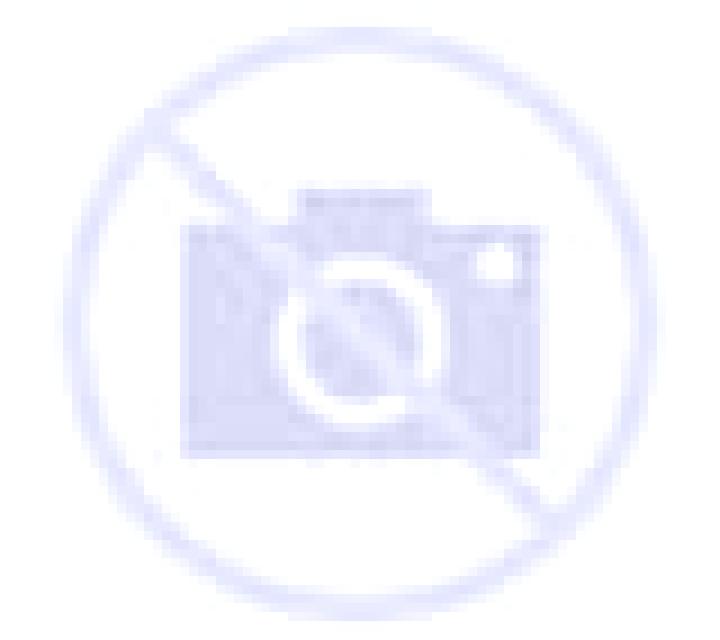 Natalia 2 Denia escort