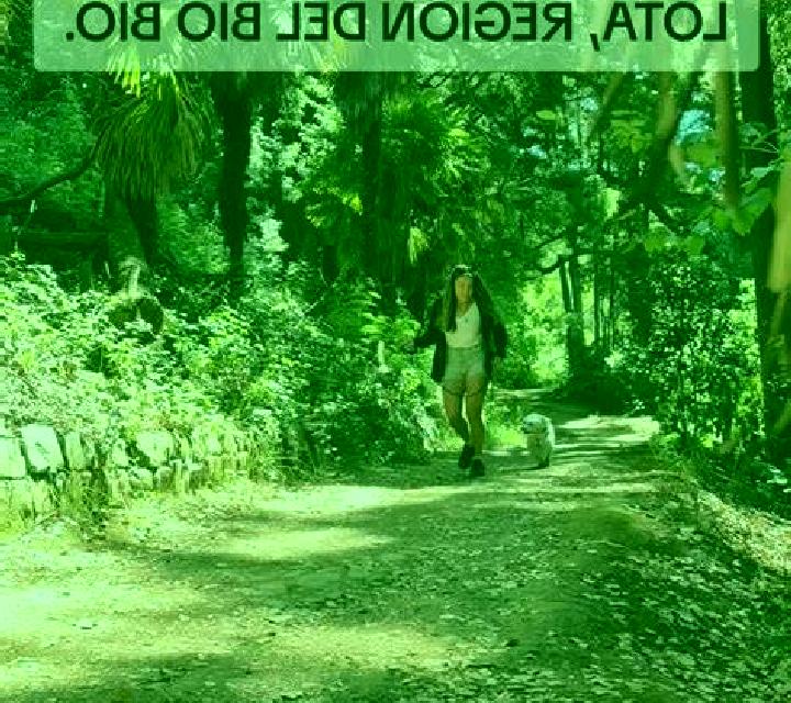 Ángela 3 Sada escort