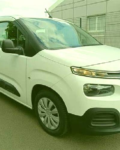 Noa 2 El Cuervo escort