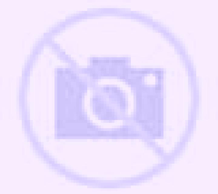 Noa 3 Castielfabib escort