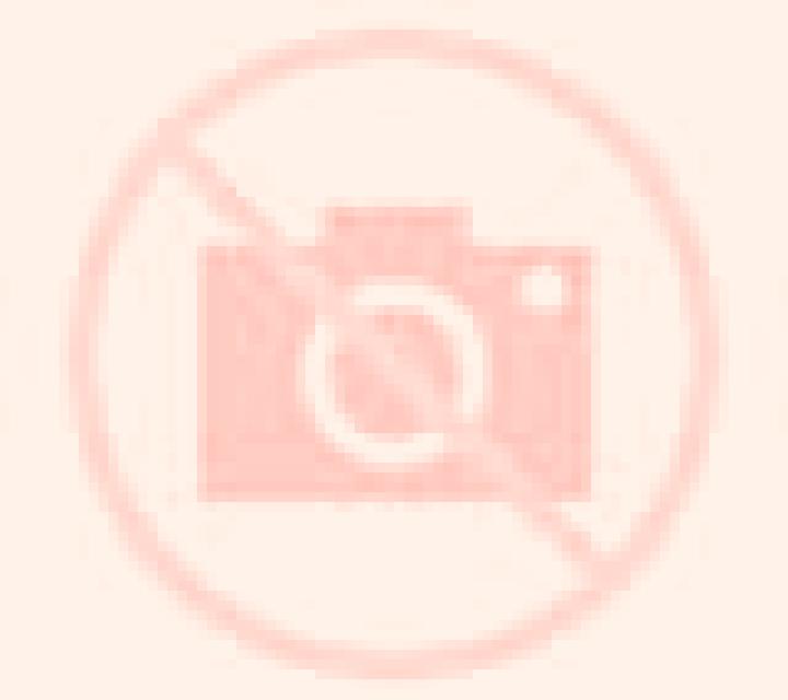 Noa 3 Toril escort