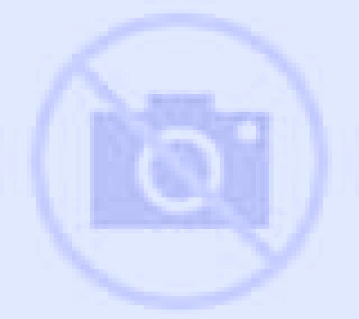 Noa Portas escort
