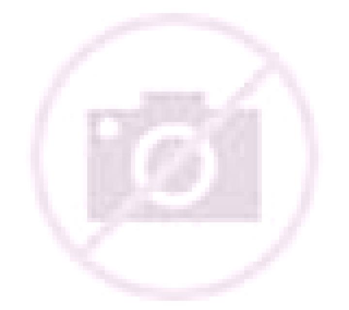 Noelia 2 Avion escort