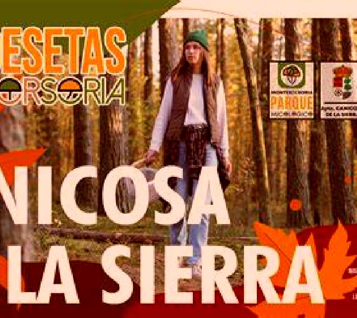 Noelia Alicun de Ortega escort