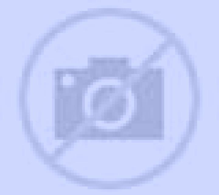 Noelia Niguelas escort