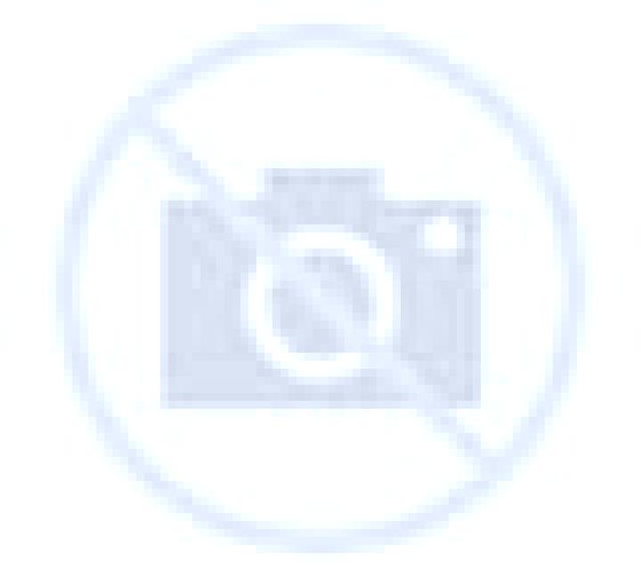 Nora 2 Benimassot escort