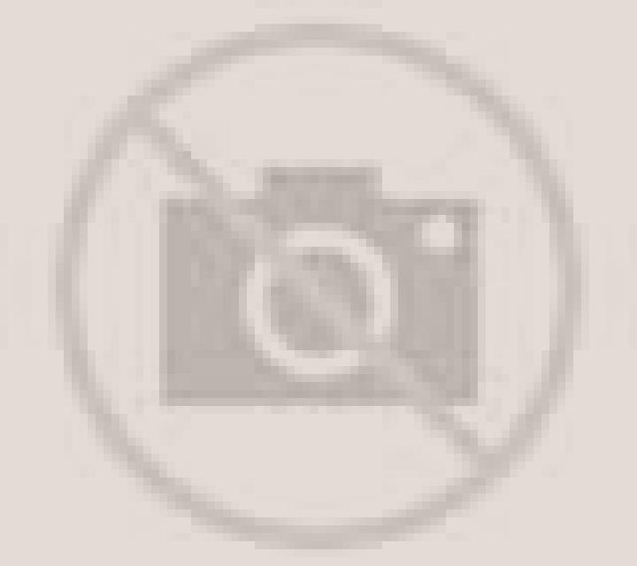 Nora Arguedas escort