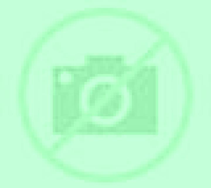 Paloma Amoroto escort