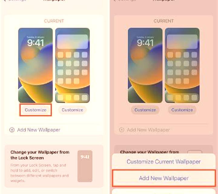 Paloma Castro Caldelas escort