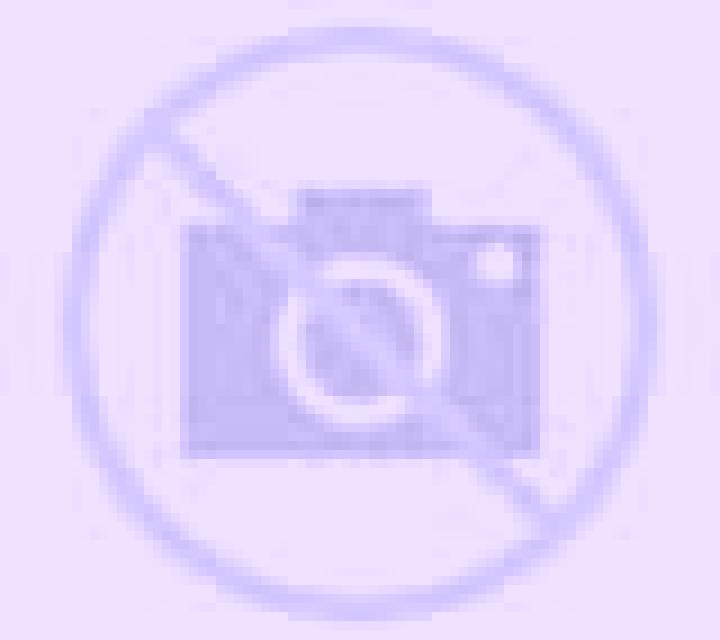 Paloma Santa Marta escort