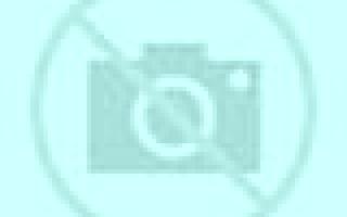 Paloma Semillas escort