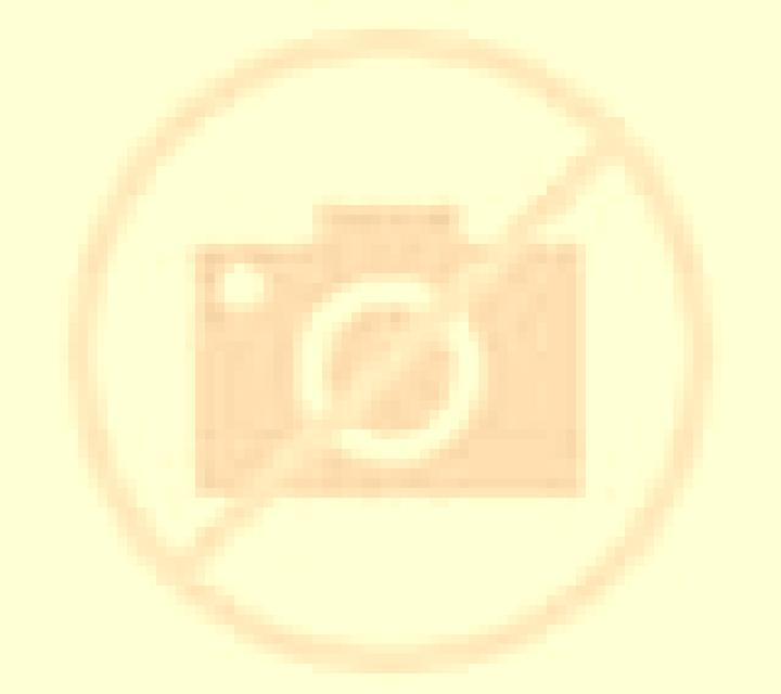 Paula 3 Barasoain escort