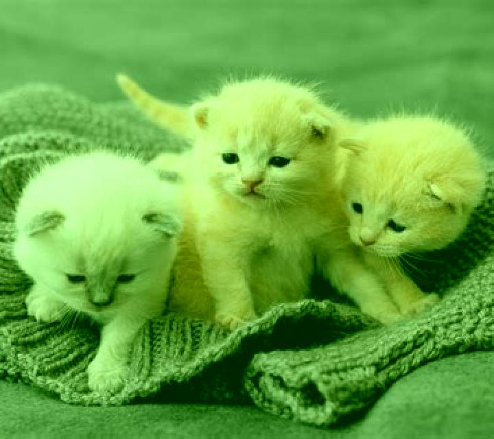 Paula 3 Cheste escort