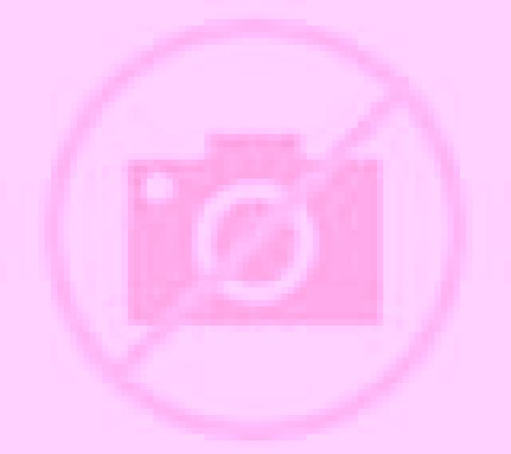Regina 3 Canas escort