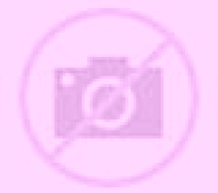 Regina Ibros escort