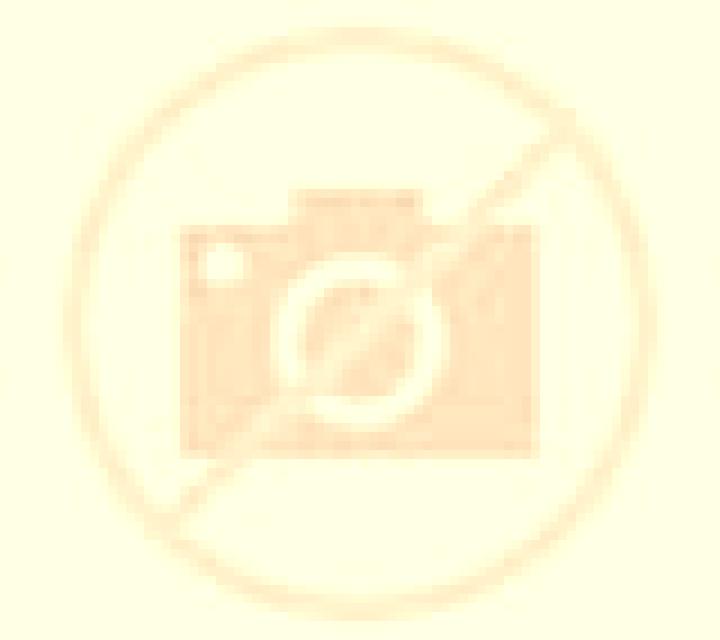 Renata 2 Requejo escort