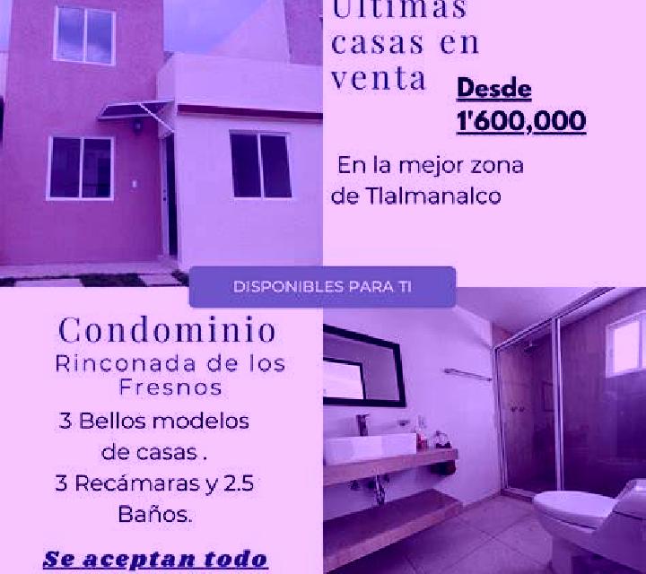Renata Tardienta escort