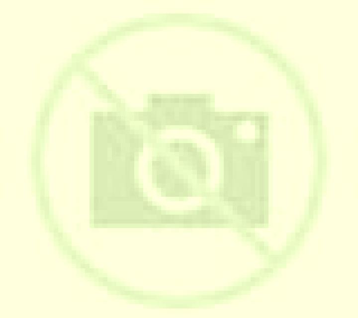 Rocío 3 Frailes escort
