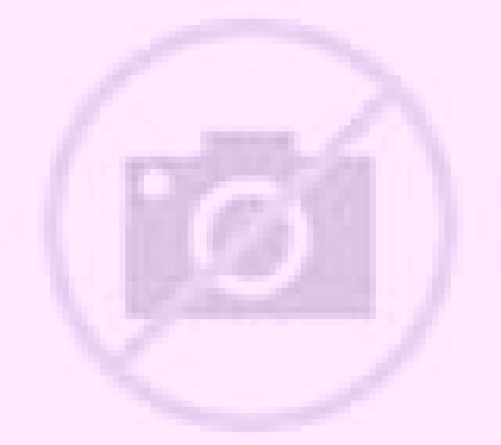 Rocío Condemios de Abajo escort