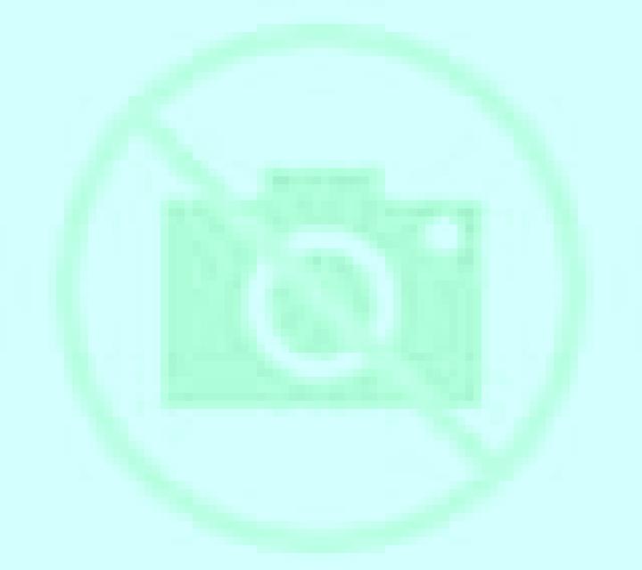 Rosa 2 Fuenterrabia escort