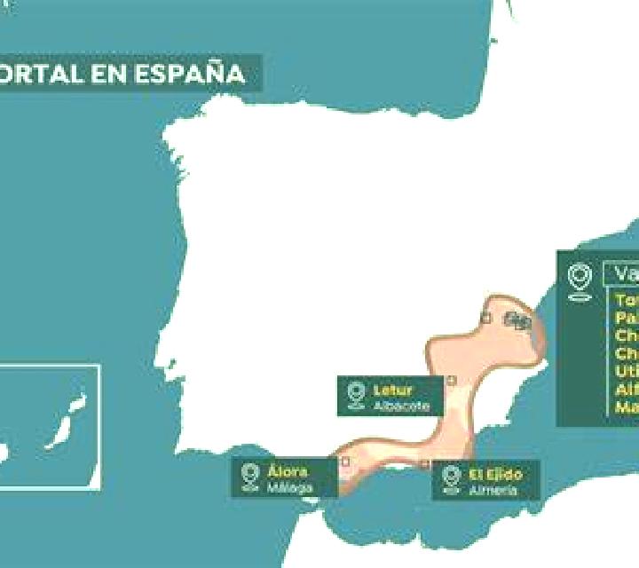 Rosa 2 Mejorada del Campo escort