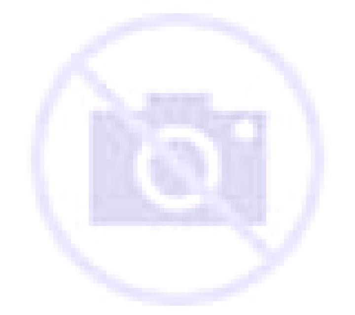 Rosa 2 Palencia escort