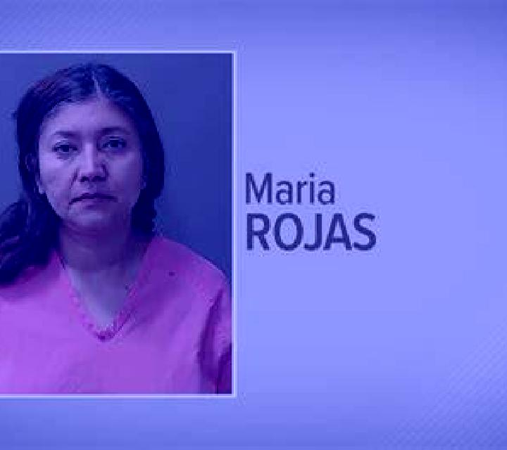 Rosa 2 Villar del Olmo escort