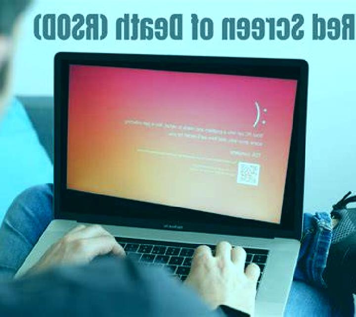 Rosa 3 Acedera escort