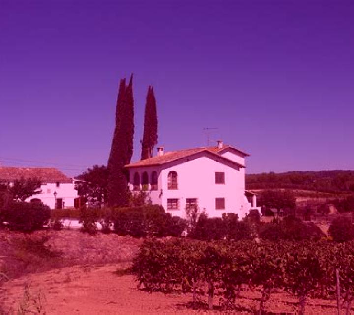 Rosa el Pla del Penedes escort