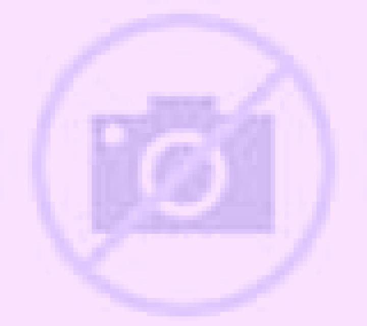 Rosa Revellinos escort