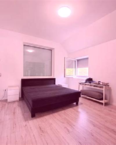 Rosa Traspinedo escort