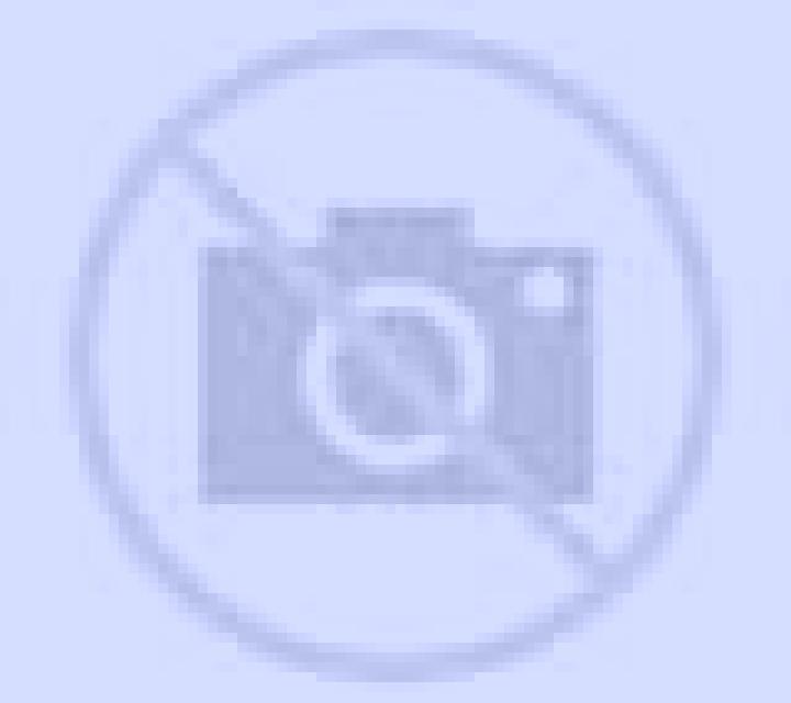 Sara 2 Benavarri / Benabarre escort