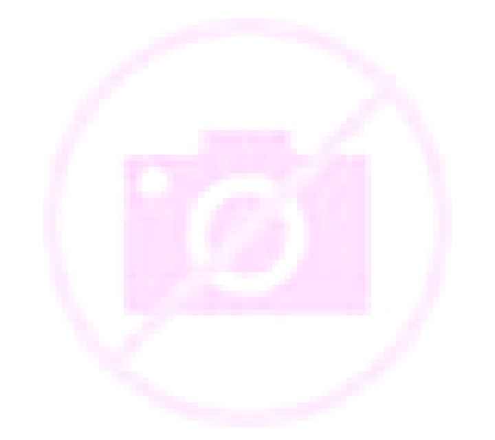 Sara Cidones escort