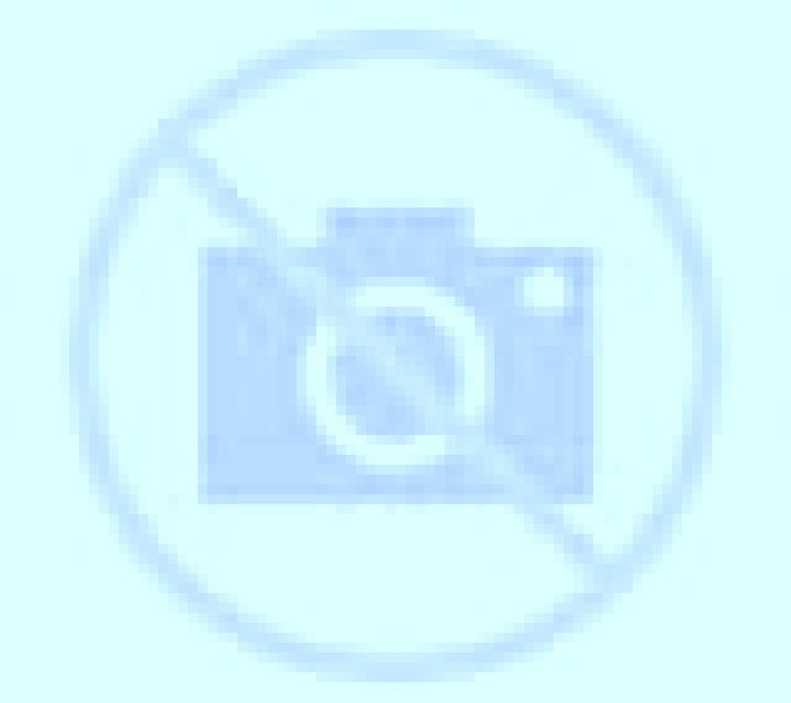 Sara San Clemente escort