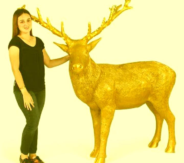Selene 3 Santoyo escort
