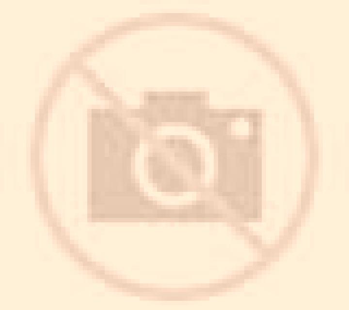 Selene Torremegia escort