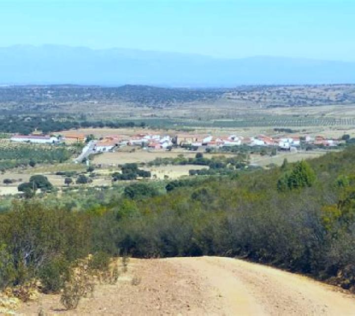 Sofía Armilla escort