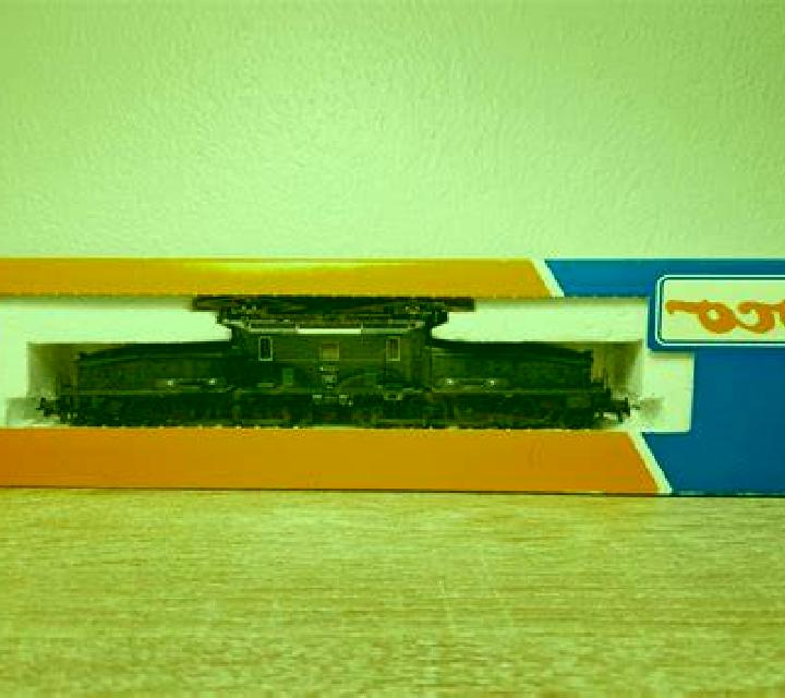 Sofía Beteta escort