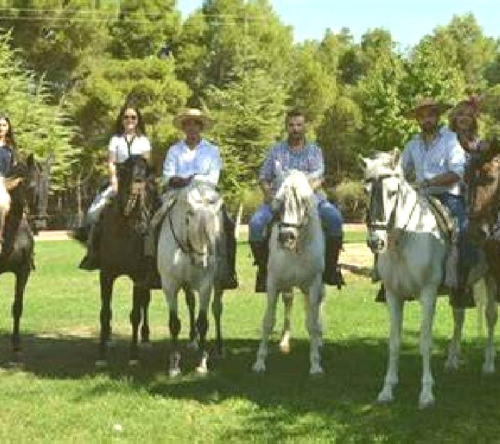 Sofía Montearagon escort