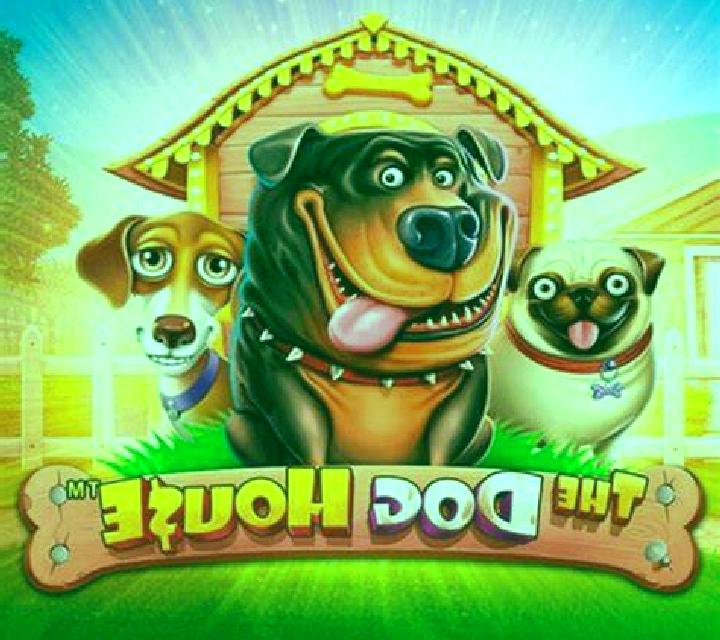 Valentina 2 Piles escort