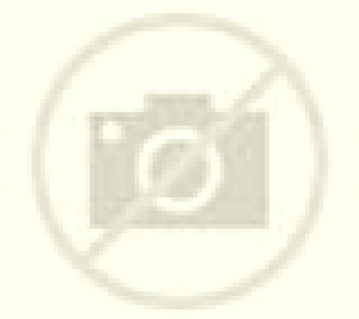 Valeria 3 Principe escort