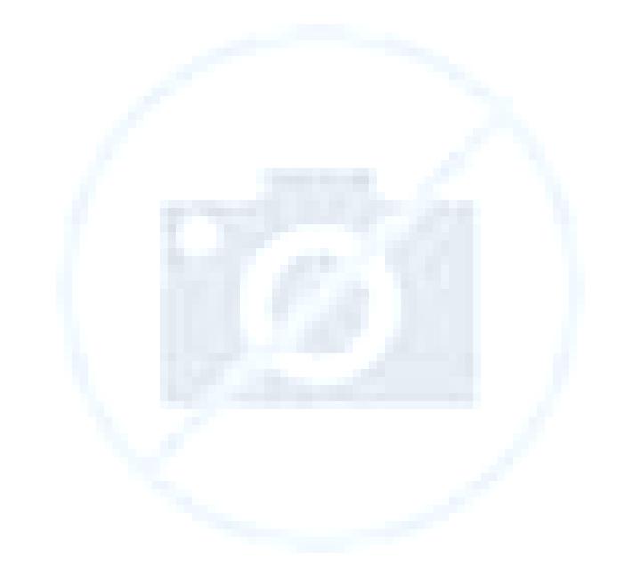 Vega 2 Gargantilla escort