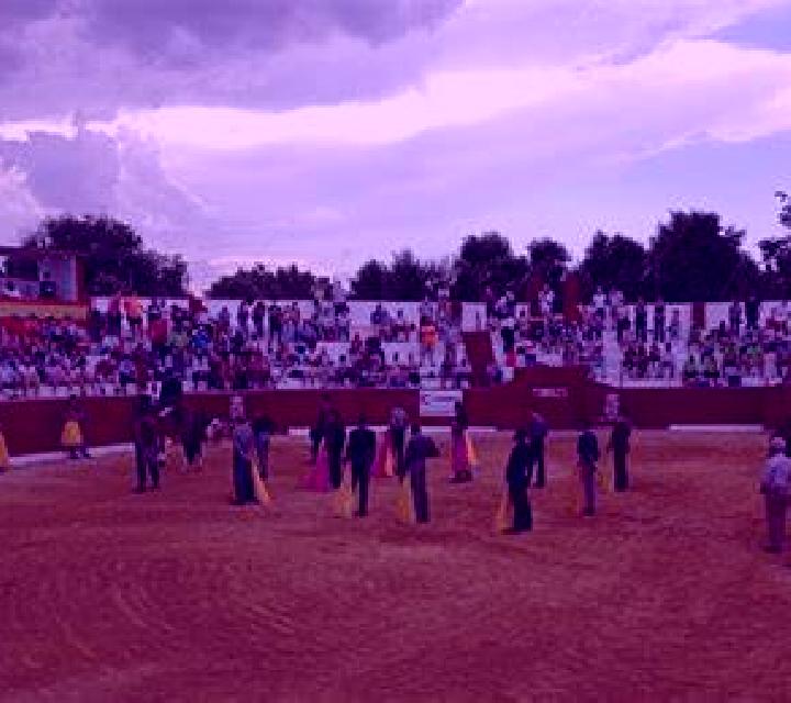 Vega 3 Utande escort