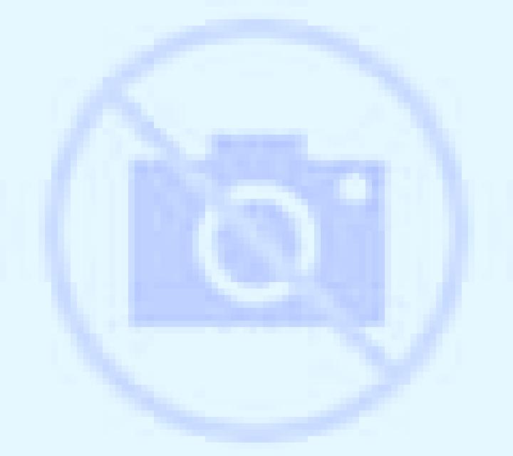 Ximena Camarillas escort